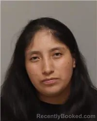 Mugshot of SANDRA PATRICIA LLIVICHUZHCA DELEG booked in Anoka County, Minnesota on June 22, 2026