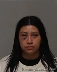 Mugshot of YESENIA MITRE booked in Anoka County, Minnesota on June 23, 2026