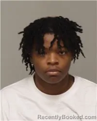 Mugshot of ZION JOYCE HAMPTON booked in Anoka County, Minnesota on June 25, 2026
