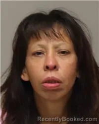 Mugshot of MELANIE JEAN HANKS booked in Anoka County, Minnesota on June 26, 2026