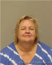 Mugshot of TERRI YVONNE HITCHINGS booked in Anoka County, Minnesota on June 27, 2026