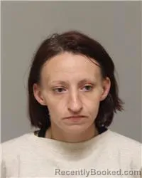 Mugshot of NICOLE JEANINE HIGGINS booked in Anoka County, Minnesota on June 29, 2026