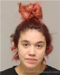 Mugshot of JESSICA MAE BRUNELLE booked in Anoka County, Minnesota on July 1, 2026