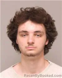 Mugshot of JAMISON RAY ROSANDICH booked in Anoka County, Minnesota on July 2, 2026