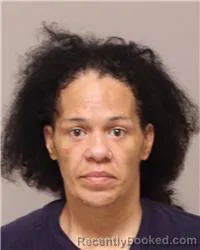 Mugshot of TONYA HALE RALEIGH booked in Anoka County, Minnesota on July 2, 2026