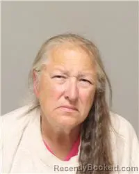 Mugshot of JUDITH ANN ROGICH booked in Anoka County, Minnesota on July 2, 2026