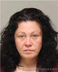 Mugshot of NICOLE CHRISTINE HANSON booked in Anoka County, Minnesota on July 3, 2026
