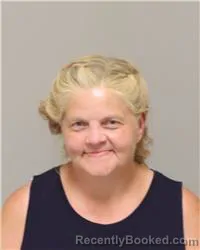 Mugshot of MICHELLE RAE MCELHANEY booked in Anoka County, Minnesota on July 3, 2026