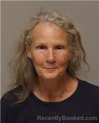 Mugshot of JANICE RUTH WIENER booked in Anoka County, Minnesota on July 5, 2026