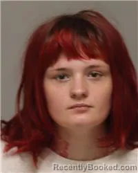 Mugshot of MADISON MARIE SELLERS booked in Anoka County, Minnesota on July 6, 2026