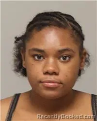 Mugshot of DONAYJA RAE BELL booked in Anoka County, Minnesota on July 7, 2026