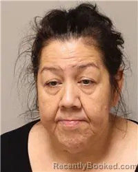 Mugshot of LISA MARIE KREY booked in Anoka County, Minnesota on July 8, 2026