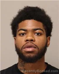 Mugshot of JA'MARION LAVONNE COLEMAN booked in Anoka County, Minnesota on July 8, 2026