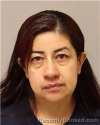 Mugshot of CARMEN YOLANDA VANEGAS MORENO booked in Anoka County, Minnesota on July 8, 2026