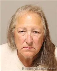 Mugshot of JUDITH ANN ROGICH booked in Anoka County, Minnesota on July 14, 2026