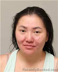 Mugshot of Bee Vang booked in Anoka County, Minnesota on July 26, 2026