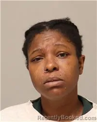 Mugshot of Aries Shantelle Deshawn Jordan booked in Anoka County, Minnesota on July 27, 2026