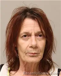 Mugshot of Joyce Marie Larson booked in Anoka County, Minnesota on July 28, 2026