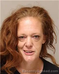Mugshot of Amy Marie Danielson booked in Anoka County, Minnesota on July 28, 2026