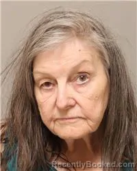 Mugshot of BONNIE LEE MACIAZKA booked in Anoka County, Minnesota on July 30, 2026