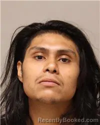 Mugshot of William Ricardo Palma booked in Anoka County, Minnesota on July 31, 2026