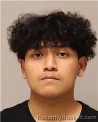 Mugshot of Jonathan Patricio Fernandez-Jaya booked in Anoka County, Minnesota on August 1, 2026