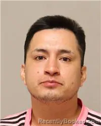 Mugshot of Celio Enrique Rodas Melgar booked in Anoka County, Minnesota on August 2, 2026