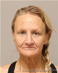 Mugshot of JOY ANGELA PALMER booked in Anoka County, Minnesota on August 4, 2026