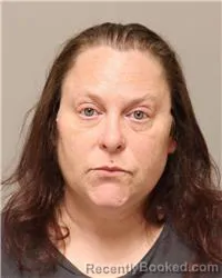 Mugshot of SARA ANNE STACY booked in Anoka County, Minnesota on August 4, 2026