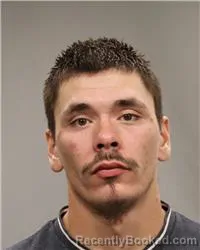 Mugshot of Alias Michael Schally booked in Anoka County, Minnesota on August 5, 2026