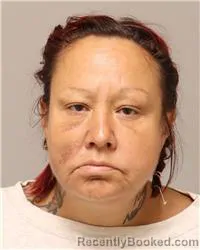 Mugshot of Amber Elizabeth Bertsch booked in Anoka County, Minnesota on August 7, 2026