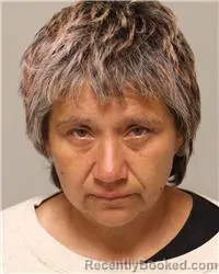 Mugshot of Deshea Evett Abelt booked in Anoka County, Minnesota on August 10, 2026
