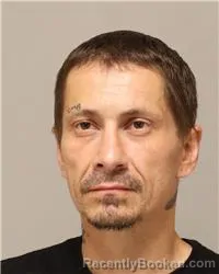 Mugshot of Dennis Wayne Davis booked in Anoka County, Minnesota on August 10, 2026