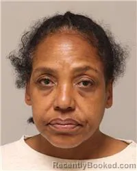 Mugshot of Geisha Ann Mcneal booked in Anoka County, Minnesota on August 10, 2026