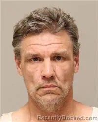 Mugshot of Shawn Del Mark Nelson booked in Anoka County, Minnesota on August 11, 2026