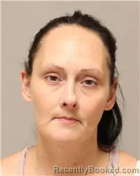 Mugshot of Rita Jean Holzinger booked in Anoka County, Minnesota on August 12, 2026