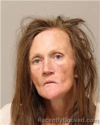 Mugshot of Tonya Marie Lindgren booked in Anoka County, Minnesota on August 12, 2026