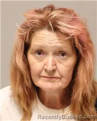 Mugshot of Deidre Lynn Mason booked in Anoka County, Minnesota on August 12, 2026