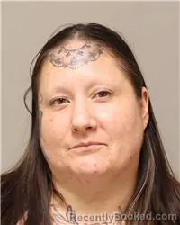 Mugshot of Tara Raelyn Jerabek booked in Anoka County, Minnesota on August 12, 2026