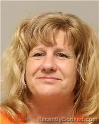 Mugshot of Gina Lynn Livgard booked in Anoka County, Minnesota on August 13, 2026
