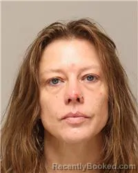 Mugshot of Angela Jane Midlo booked in Anoka County, Minnesota on August 14, 2026