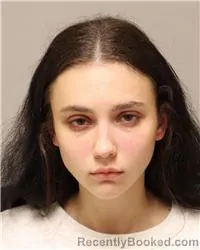 Mugshot of Ellie Grace Woehrle booked in Anoka County, Minnesota on August 15, 2026