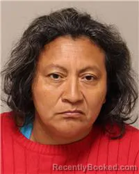 Mugshot of Crisol Meija-Hernandez booked in Anoka County, Minnesota on August 16, 2026
