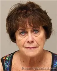 Mugshot of Cheryl Christine Anderson booked in Anoka County, Minnesota on August 16, 2026