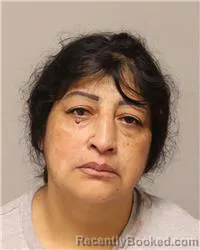 Mugshot of Nancy Del Rocio Ibarra Moposita booked in Anoka County, Minnesota on August 17, 2026