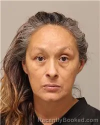 Mugshot of Ann Elizabeth Brady booked in Anoka County, Minnesota on August 17, 2026