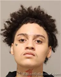 Mugshot of Shane William Jaeger booked in Anoka County, Minnesota on August 17, 2026