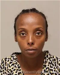 Mugshot of Khadra Hassan Ali booked in Anoka County, Minnesota on August 18, 2026