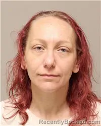 Mugshot of Stephanie Siobahn Cronky booked in Anoka County, Minnesota on August 18, 2026
