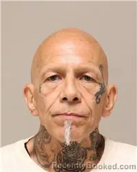 Mugshot of David Shaun Sell booked in Anoka County, Minnesota on August 18, 2026